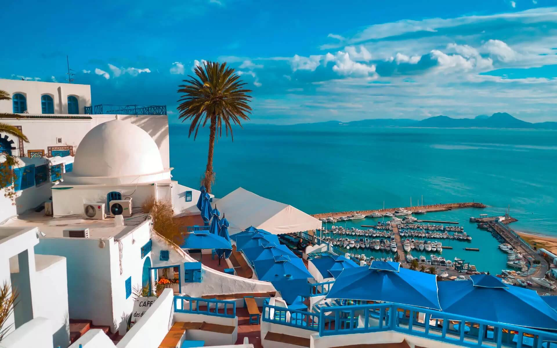 Best SIM Cards Tourists can use for calling and Dialing in Tunisia
