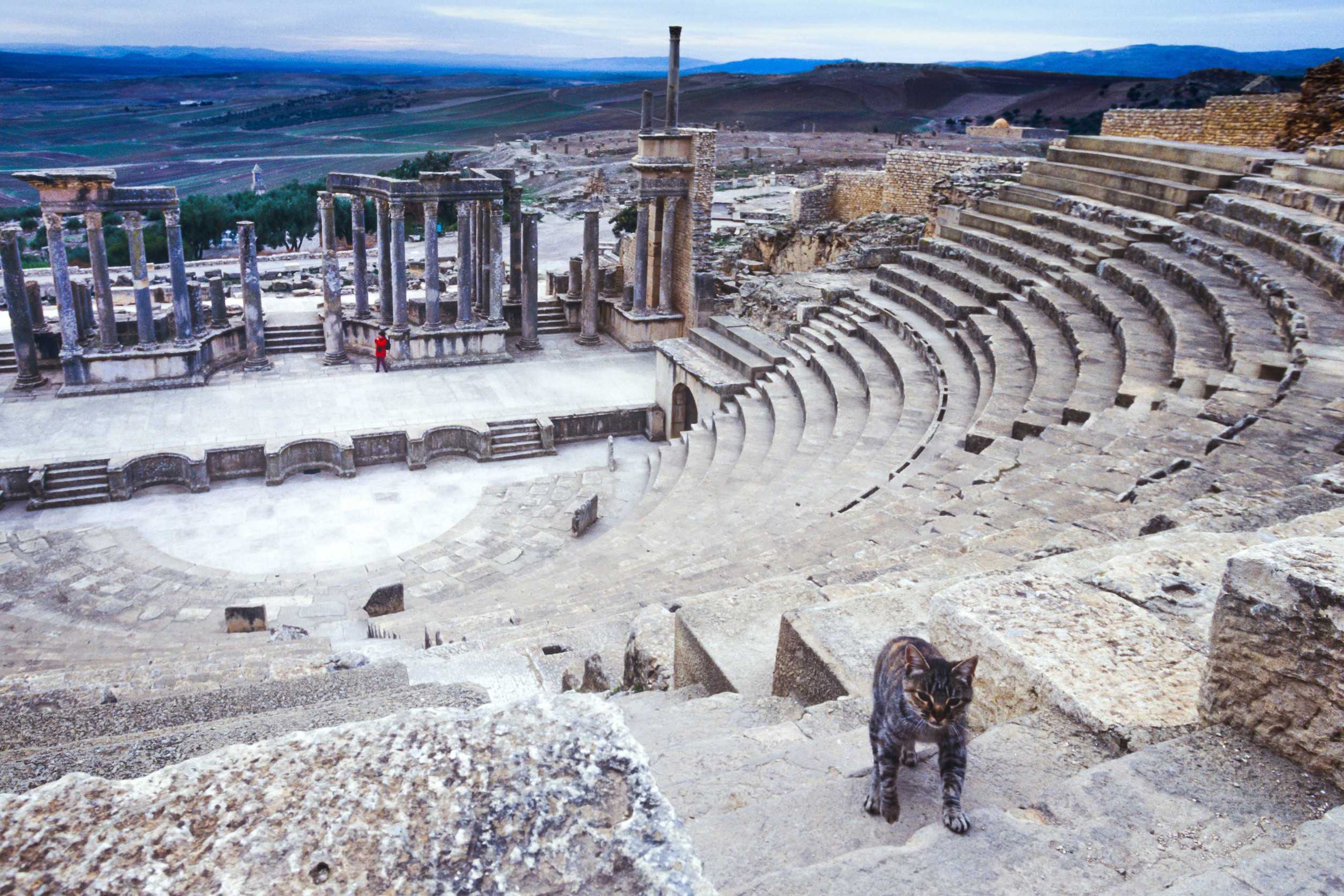 Dougga Tunisia Tunis