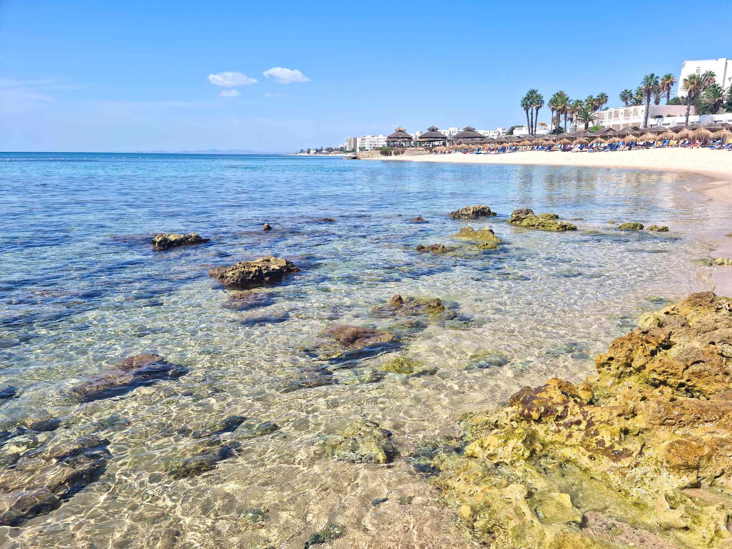 Landscape In A Beach In Hammamet Tunisia