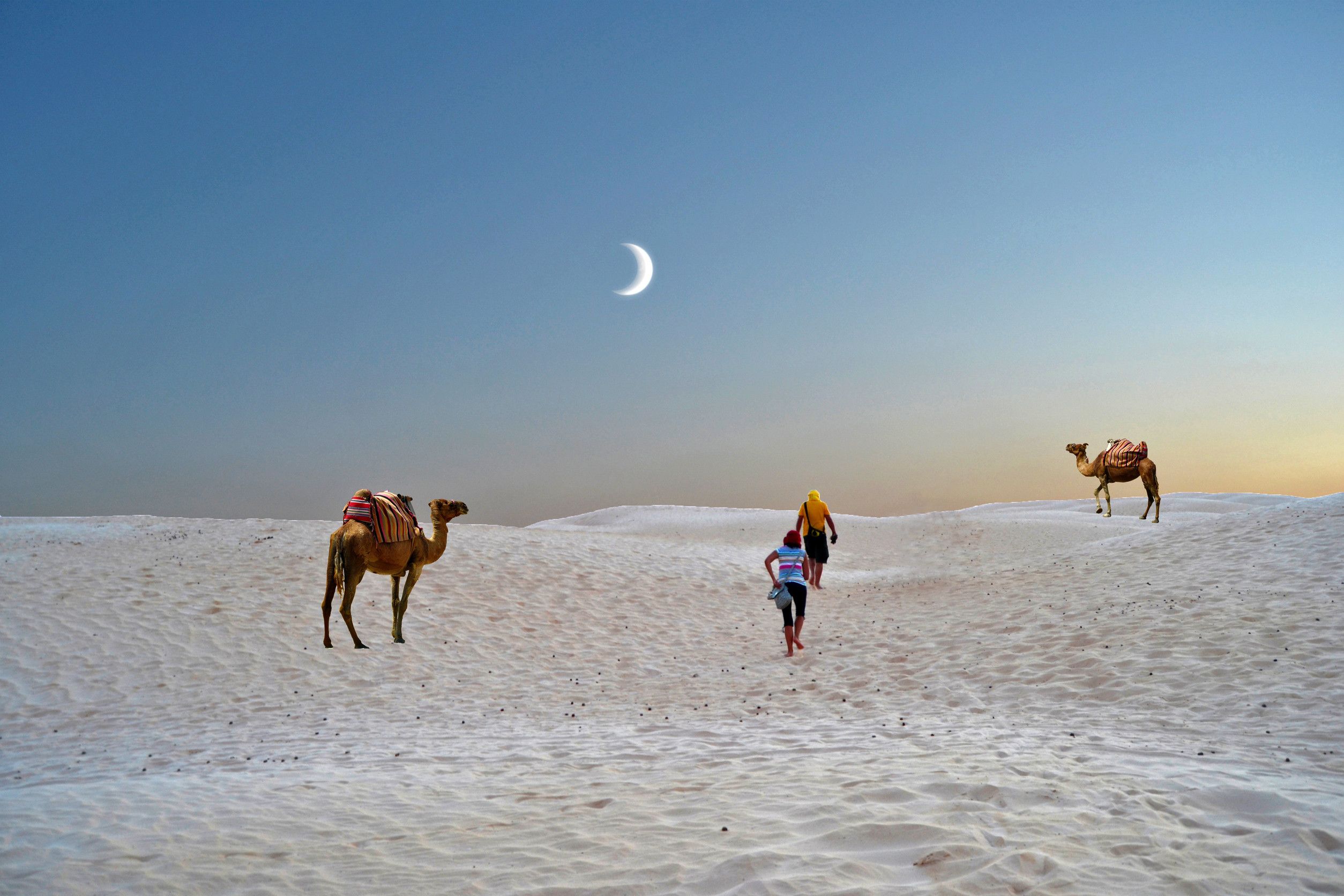 Walk On The Sand Dunes Of The Sahara Tunisia Africa