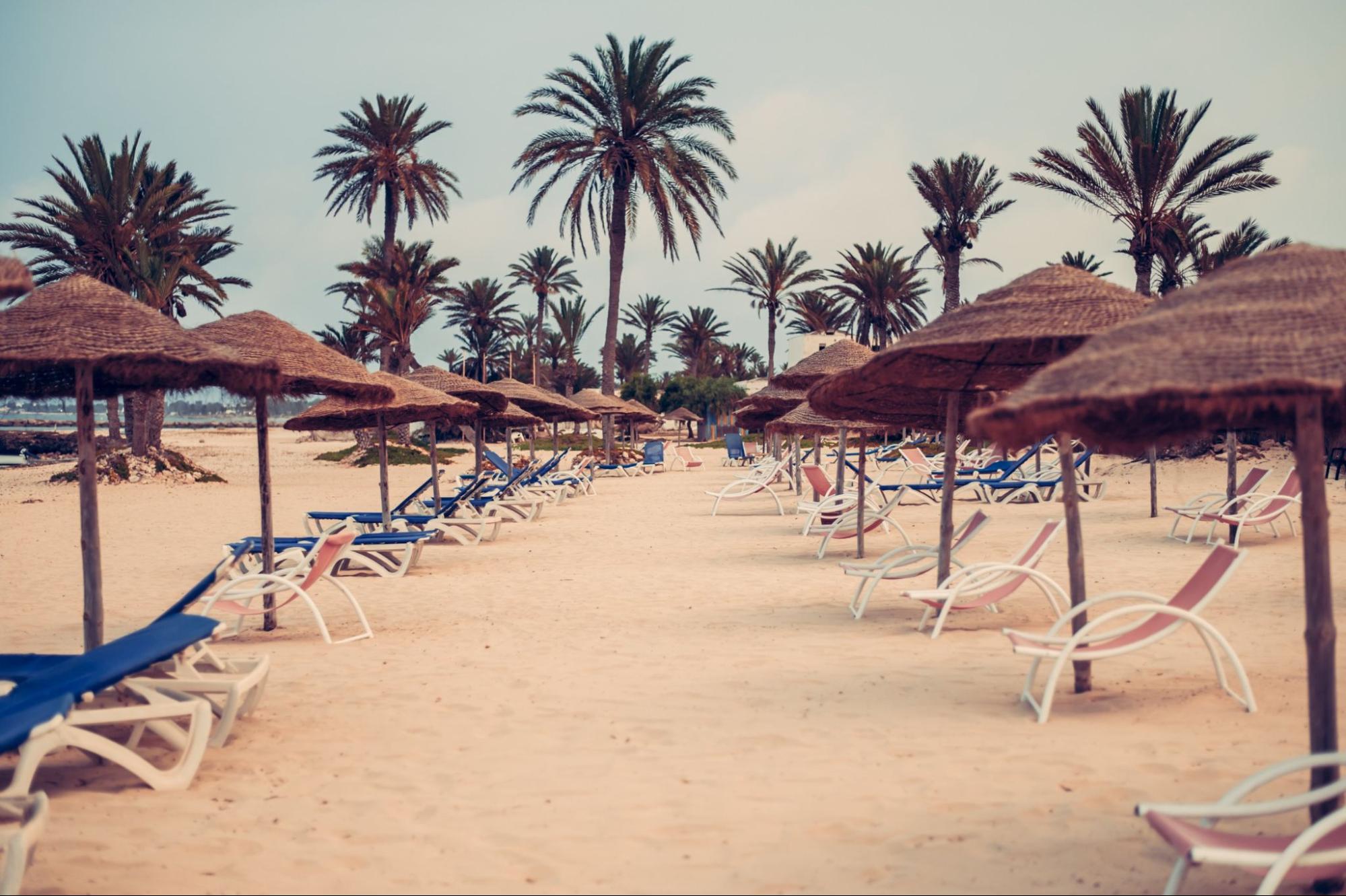 Snow-white sand and palm trees on the beach near sea or ocean in Tunisia
