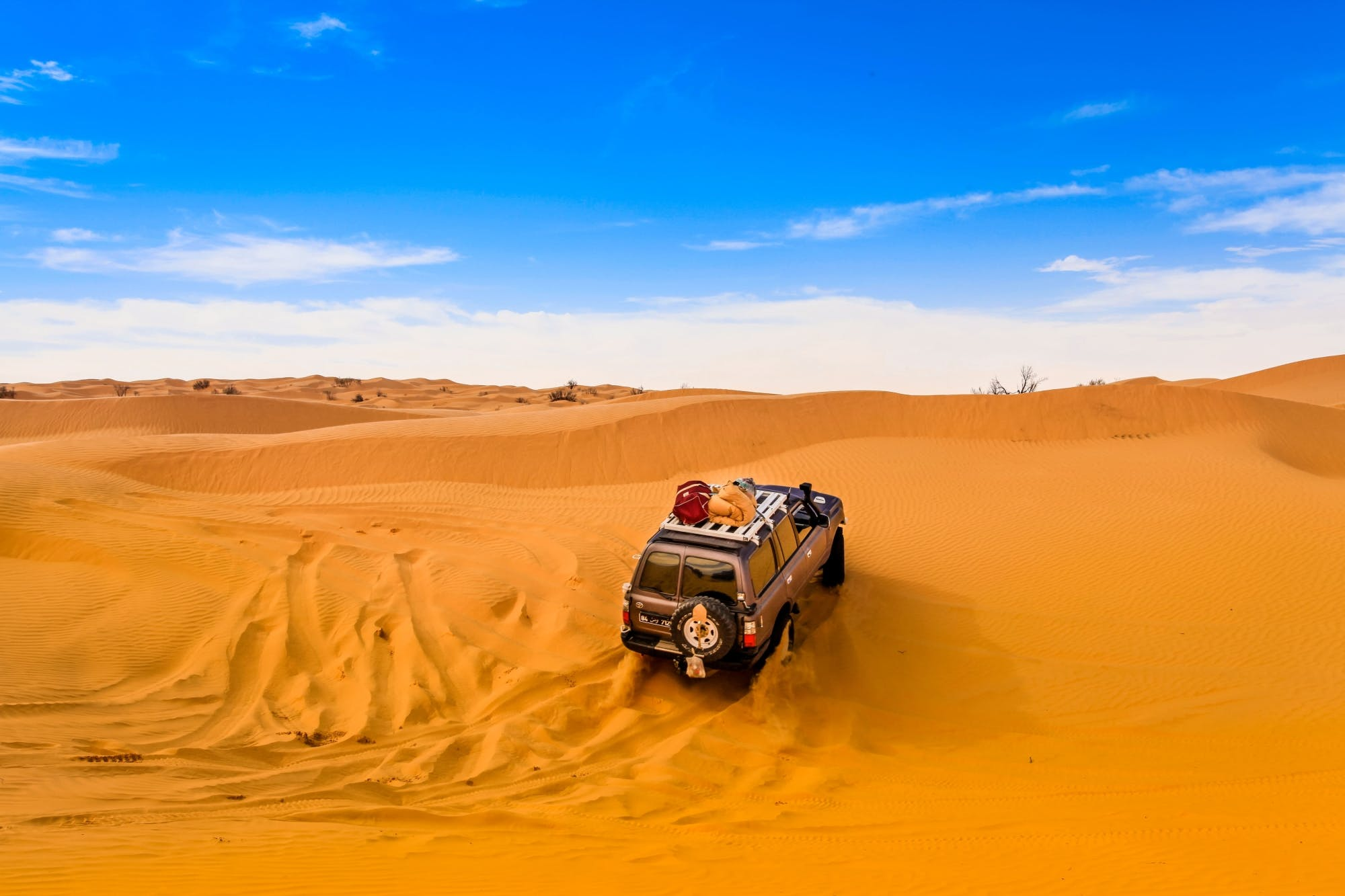 Sahara Tourism Day